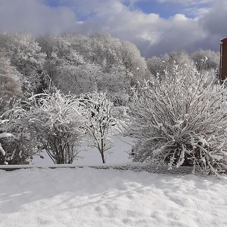 Chez Papy Bed & Breakfast Bellefontaine  Bagian luar foto