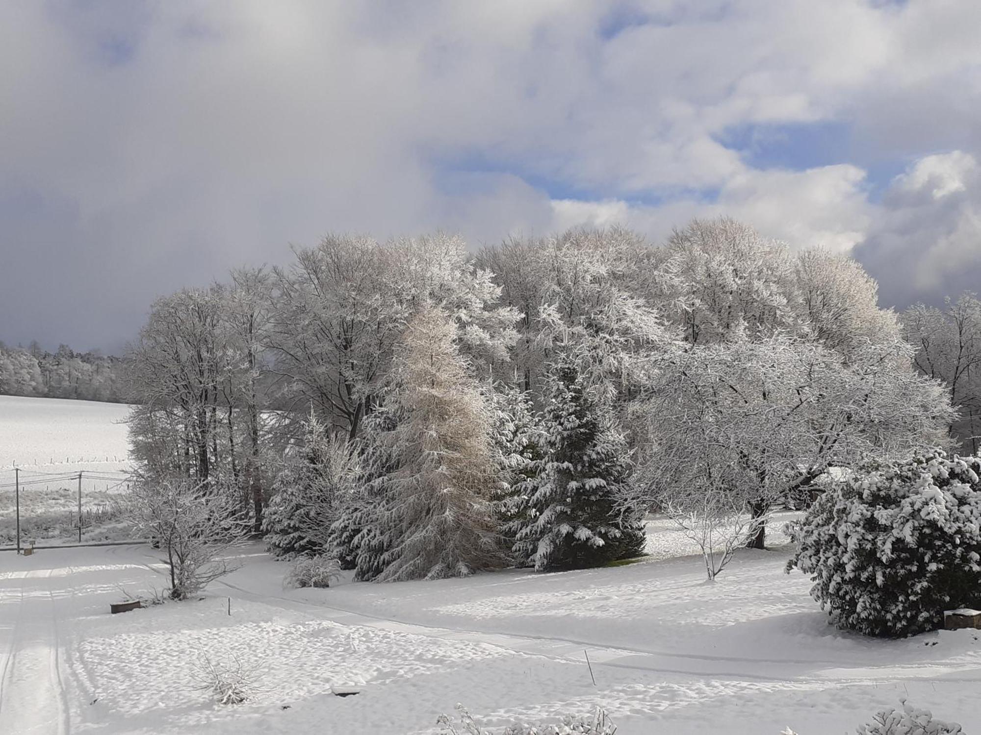 Chez Papy Bed & Breakfast Bellefontaine  Bagian luar foto